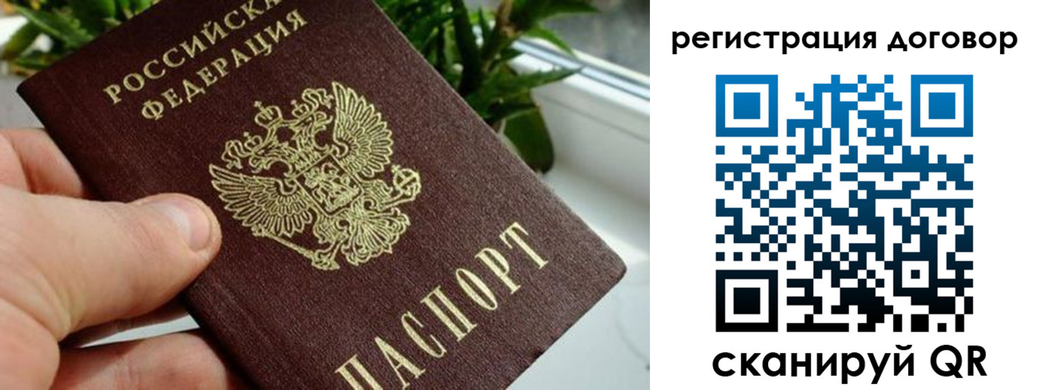 прописка ребенка в Зее